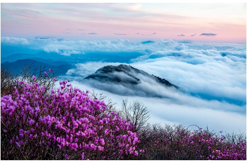 PHOTO BY MINKYUKIM  | Canon EOS 5D Mark III  | 2024:04:23 05:27:52  | ISO-400 | 1/40 sec | f 6.3 | 41 mm | EV=0 | ● WIDTH:1600 pixels  HEIGHT:1023 pixels