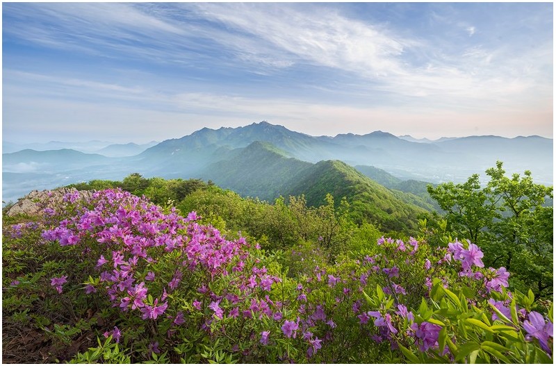 PHOTO BY  | NIKON Z 7_2  | 2024:04:26 07:57:25  | ISO-200 | 1/60 sec | f 11 | 15.5 mm | EV=0 | ● WIDTH:1700 pixels  HEIGHT:1117 pixels