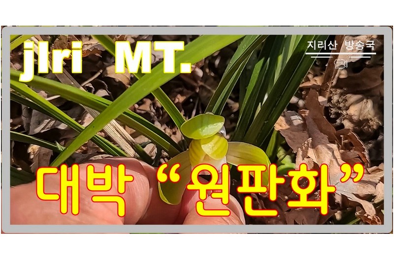   | PHOTO BY : 지리산도사/김종관  |
