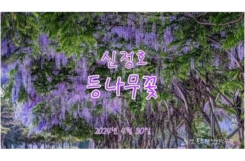   | PHOTO BY : 홀스타인/박무길  |