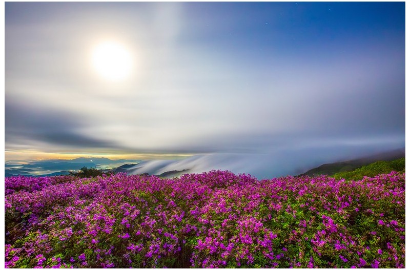 PHOTO BY  | Canon EOS 5D Mark III  | 2024:04:30 04:27:52  | ISO-800 | 84/1 sec | f 8 | 16 mm | EV=0 | ● WIDTH:1400 pixels  HEIGHT:933 pixels