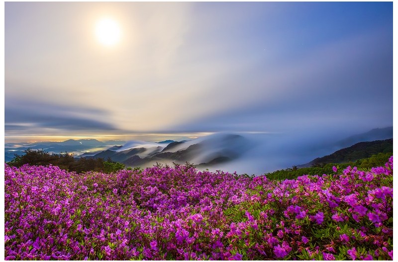 PHOTO BY  | Canon EOS 5D Mark III  | 2024:04:30 04:42:05  | ISO-800 | 76/1 sec | f 8 | 16 mm | EV=0 | ● WIDTH:1300 pixels  HEIGHT:867 pixels