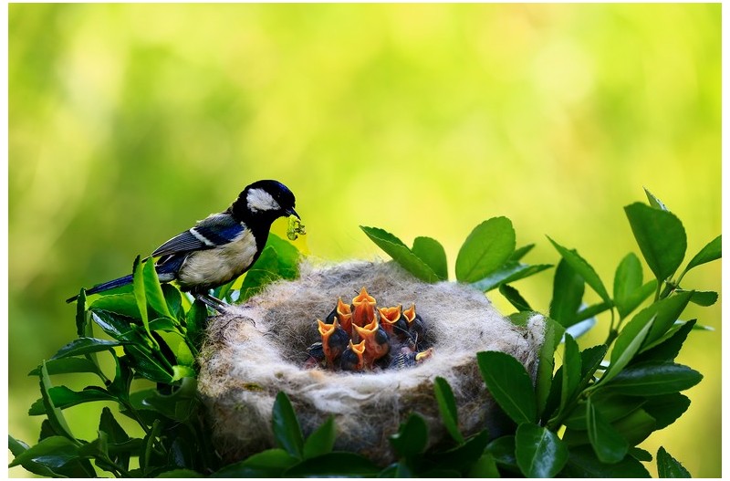 PHOTO BY HNalim  | Canon EOS 7D Mark II  | 2024:04:25 17:07:41  | ISO-1000 | 1/800 sec | f 18 | 104 mm | EV=0 | ● WIDTH:1800 pixels  HEIGHT:1200 pixels