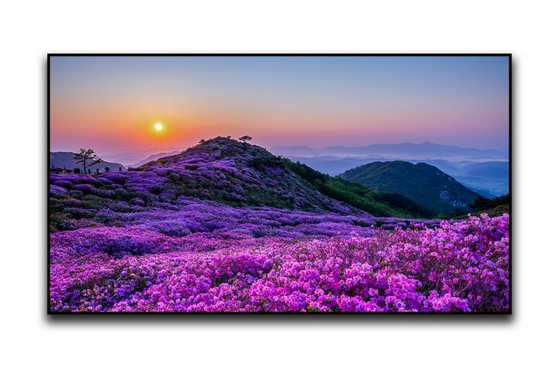 PHOTO BY  | Canon EOS 5D Mark IV  | 2022:05:03 06:29:05  | ISO-100 | 1/20 sec | f 10 | 24 mm | EV=-1 | ● WIDTH:1436 pixels  HEIGHT:910 pixels
