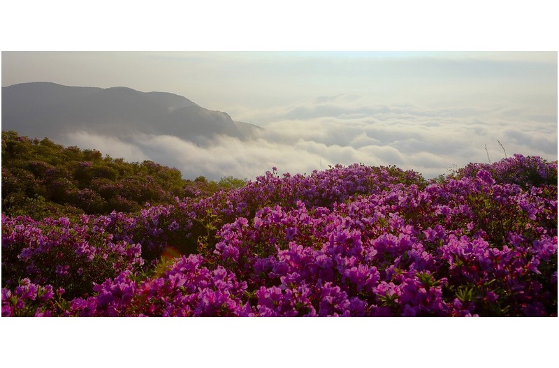 PHOTO BY  | Canon EOS 5D Mark III  | 2014:05:01 06:17:03  | ISO-200 | 1/400 sec | f 9 | 30 mm | EV=0 | ● WIDTH:1700 pixels  HEIGHT:813 pixels
