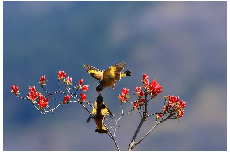 PHOTO BY HNalim  | Canon EOS 7D Mark II  | 2024:04:25 17:07:46  | ISO-1000 | 1/1000 sec | f 18 | 104 mm | EV=0 | ● WIDTH:1800 pixels  HEIGHT:1200 pixels