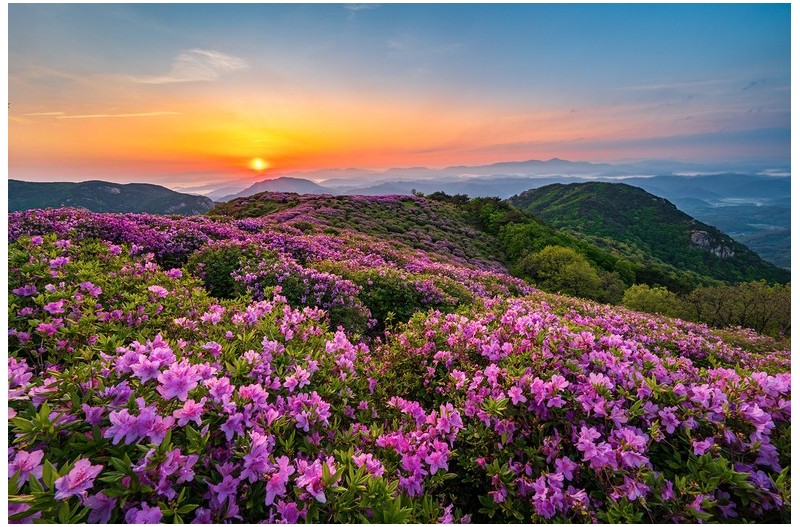 PHOTO BY  | NIKON Z 6_2  | 2024:05:02 05:41:14  | ISO-200 | 1/15 sec | f 16 | 14.5 mm | EV=-0.7 | ● WIDTH:1500 pixels  HEIGHT:998 pixels