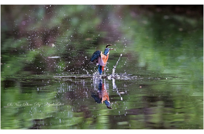 PHOTO BY  | Canon EOS R6  | 2024:05:01 12:00:57  | ISO-2500 | 1/1000 sec | f 5 | 191 mm | EV=0 | ● WIDTH:1700 pixels  HEIGHT:1050 pixels
