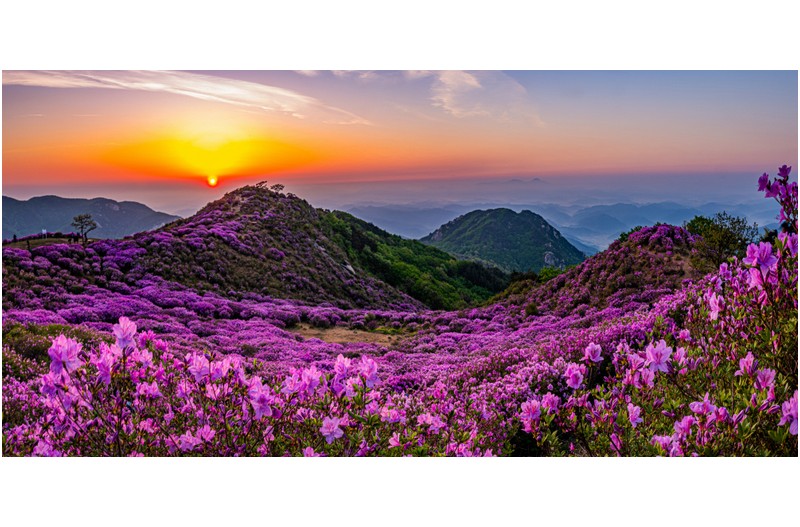   | PHOTO BY : 정현석  |