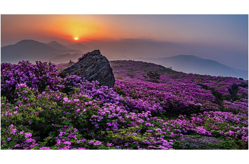   | PHOTO BY : 정현석  |