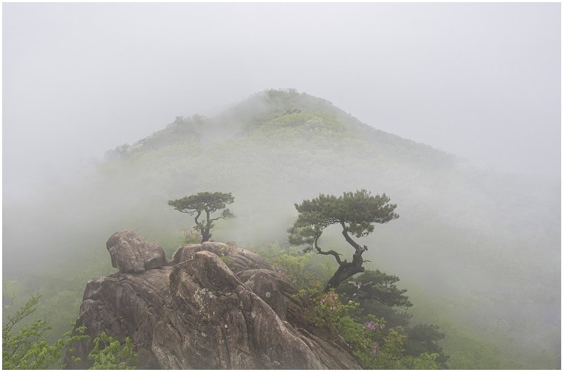 PHOTO BY  | NIKON Z 7_2  | 2024:04:12 07:33:57  | ISO-200 | 1/200 sec | f 11 | 15.5 mm | EV=0 | ● WIDTH:1700 pixels  HEIGHT:1117 pixels