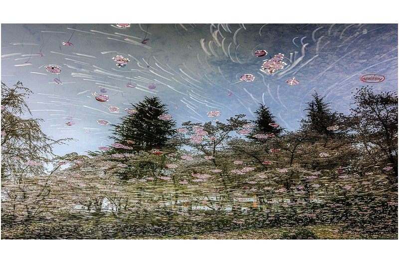 PHOTO BY jps  | Canon EOS R6  | 2024:04:08 16:48:41  | ISO-100 | 75/1 sec | f 20 | 35 mm | EV=0 | ● WIDTH:1600 pixels  HEIGHT:870 pixels