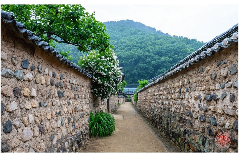 PHOTO BY KKY_CWANG_YEOL  | NIKON Z 8  | 2024:05:05 10:28:31  | ISO-50 | 1/2 sec | f 18 | 29.5 mm | EV=0.3 | ● WIDTH:1700 pixels  HEIGHT:1062 pixels