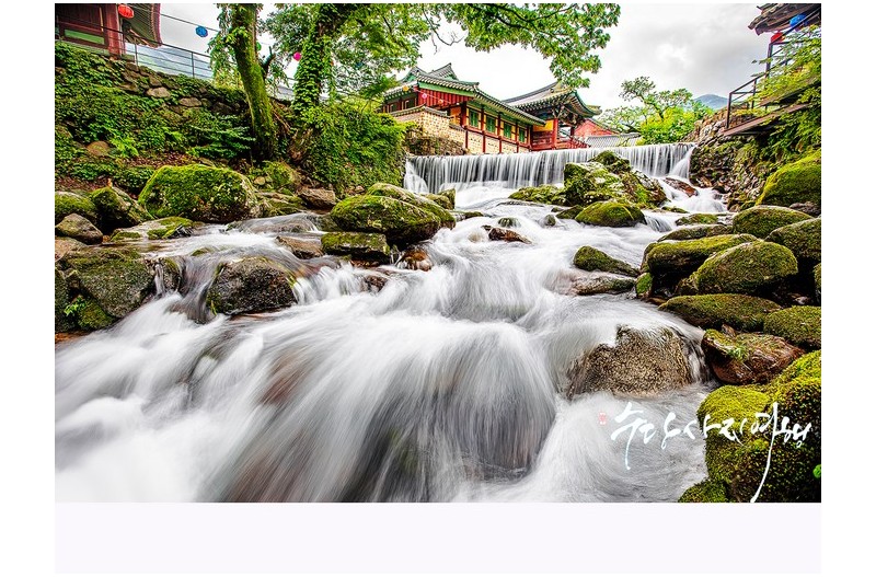   | PHOTO BY : 수당/박상돈  |