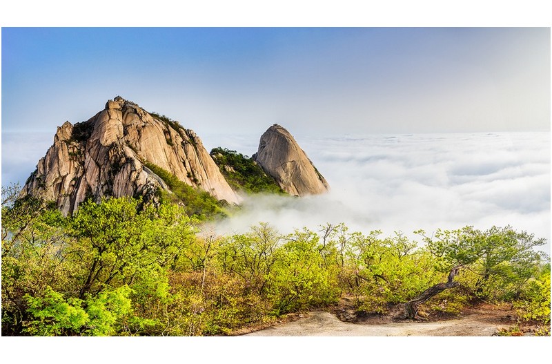 PHOTO BY  | NIKON Z 7_2  | 2024:04:25 07:10:57  | ISO-200 | 1/125 sec | f 11 | 15.5 mm | EV=0 | ● WIDTH:1400 pixels  HEIGHT:788 pixels