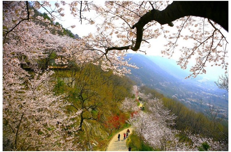 PHOTO BY  | Canon EOS 5D  | 2013:04:04 10:47:11  | ISO-100 | 1/250 sec | f 4 | 27 mm | EV=0 | ● WIDTH:1700 pixels  HEIGHT:1133 pixels