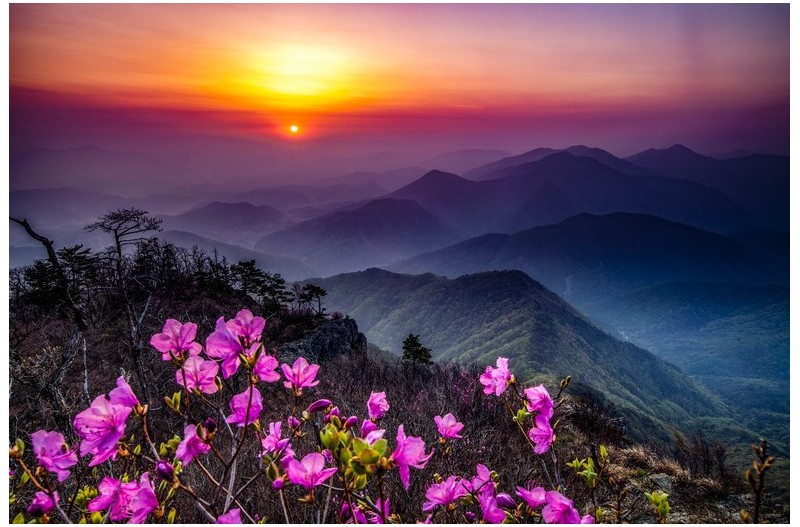 PHOTO BY  | Canon EOS 5D Mark II  | 2019:05:04 05:49:17  | ISO-100 | 2/1 sec | f 22 | 23 mm | EV=0 | ● WIDTH:5616 pixels  HEIGHT:3744 pixels