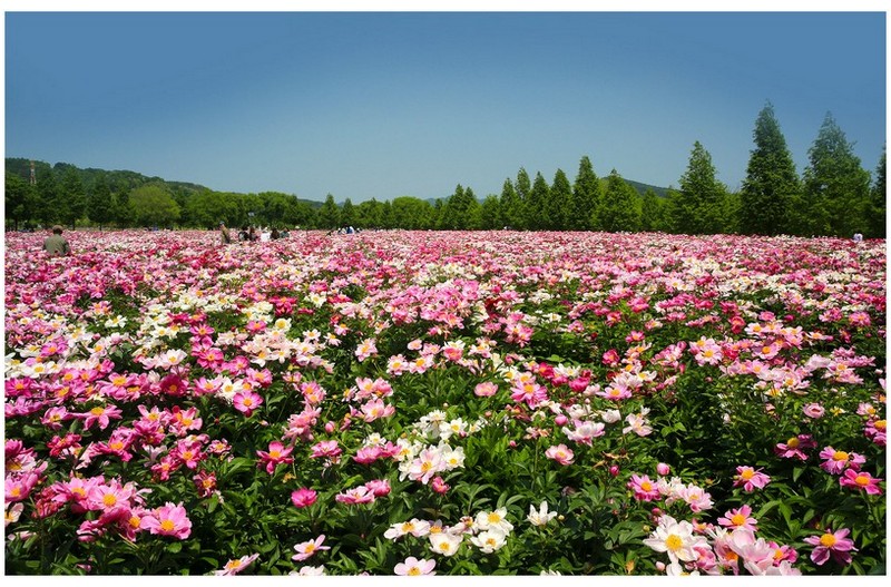   | PHOTO BY : 몰운대/조태열  |