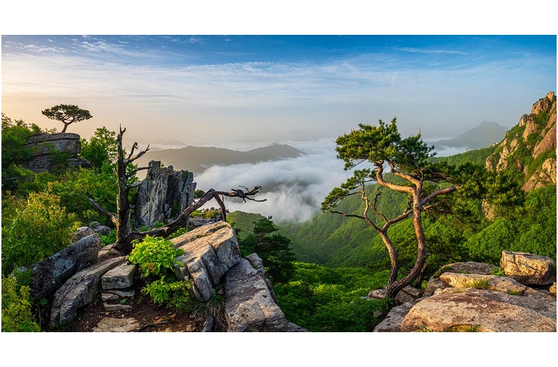PHOTO BY  | NIKON D850  | 2024:05:12 06:09:49  | ISO-100 | 1/60 sec | f 16 | 17 mm | EV=-1 | ● WIDTH:1400 pixels  HEIGHT:751 pixels