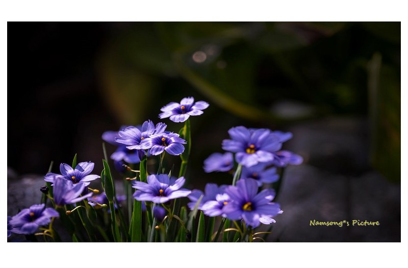 PHOTO BY HAN.JONG.SOO  | NIKON Z 6  | 2022:05:08 10:30:03  | ISO-100 | 1/640 sec | f 4 | 120 mm | EV=0 | ● WIDTH:1800 pixels  HEIGHT:1013 pixels