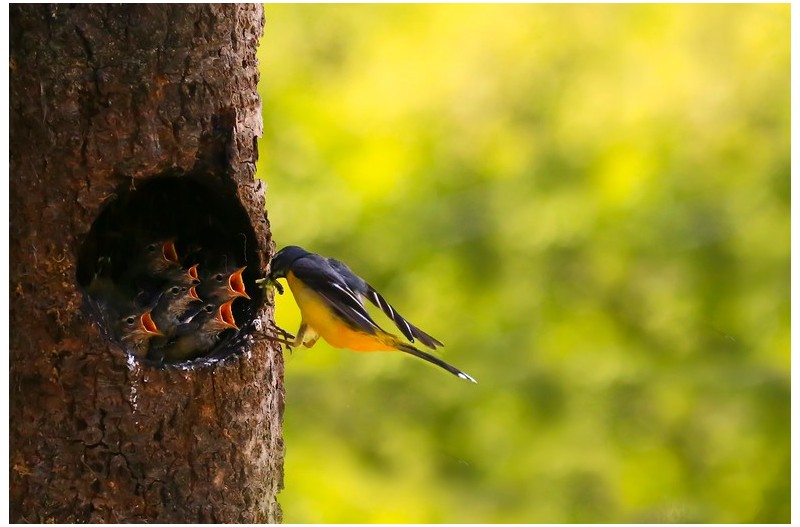 PHOTO BY HNalim  | Canon EOS 7D Mark II  | 2024:05:10 10:18:10  | ISO-1000 | 1/640 sec | f 18 | 275 mm | EV=0 | ● WIDTH:1800 pixels  HEIGHT:1200 pixels