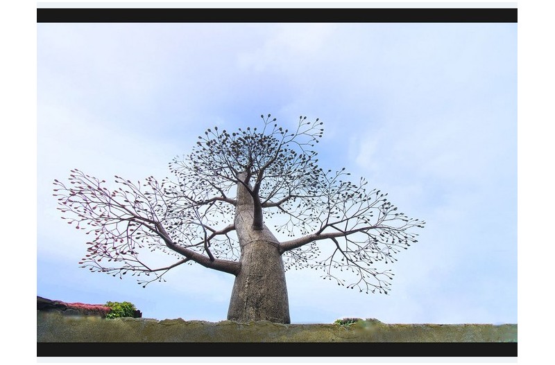 PHOTO BY SEHUI_OK  | NIKON D500  | 2024:05:11 14:20:11  | ISO-100 | 1/320 sec | f 11 | 10 mm | EV=0.3 | ● WIDTH:1300 pixels  HEIGHT:978 pixels