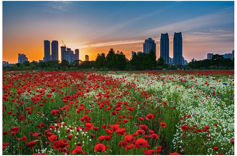 PHOTO BY  | NIKON Z 6_2  | 2024:05:13 05:34:39  | ISO-200 | 1/20 sec | f 16 | 33 mm | EV=-0.3 | ● WIDTH:1500 pixels  HEIGHT:998 pixels