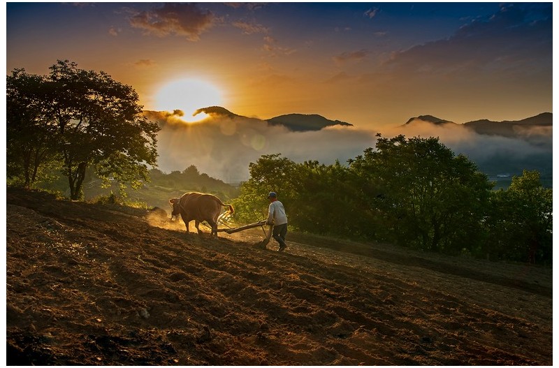 PHOTO BY  | NIKON D850  | 2024:05:15 05:57:52  | ISO-250 | 1/800 sec | f 7.1 | 27 mm | EV=-0.7 | ● WIDTH:1500 pixels  HEIGHT:1000 pixels