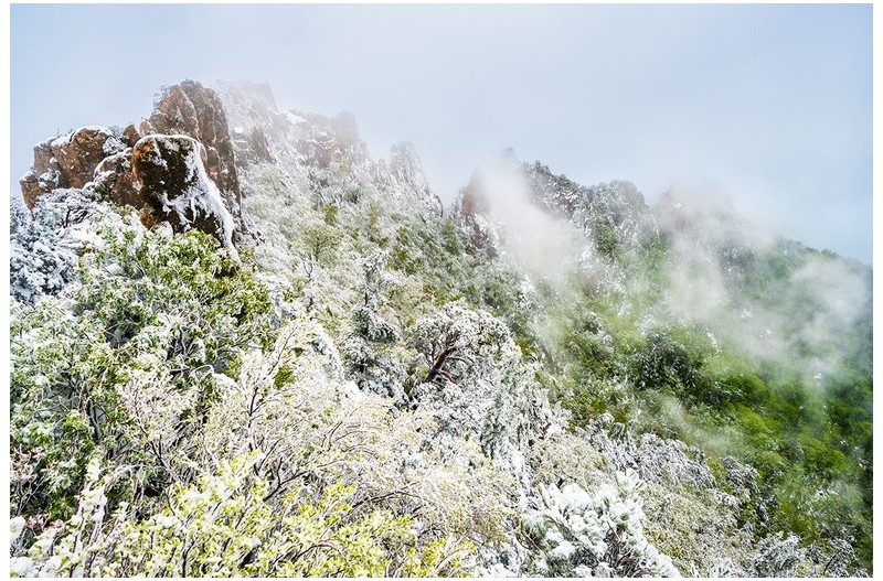 PHOTO BY  | NIKON Z 7_2  | 2024:05:16 08:09:16  | ISO-200 | 1/100 sec | f 11 | 20.5 mm | EV=0 | ● WIDTH:1200 pixels  HEIGHT:800 pixels