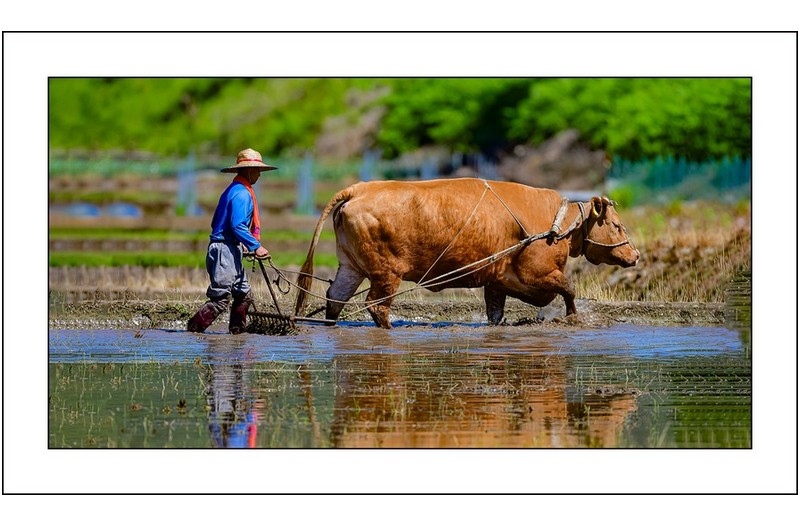   | PHOTO BY : 삿갓/정봉식  |