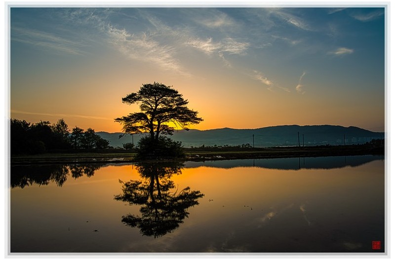 PHOTO BY  | NIKON D850  | 2024:05:20 05:16:27  | ISO-100 | 1/100 sec | f 13 | 24 mm | EV=-2.7 | ● WIDTH:1500 pixels  HEIGHT:1000 pixels