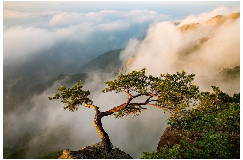 PHOTO BY MINKYUKIM  | Canon EOS 5D Mark III  | 2024:05:21 05:29:23  | ISO-200 | 1/50 sec | f 11 | 24 mm | EV=0 | ● WIDTH:1600 pixels  HEIGHT:1067 pixels