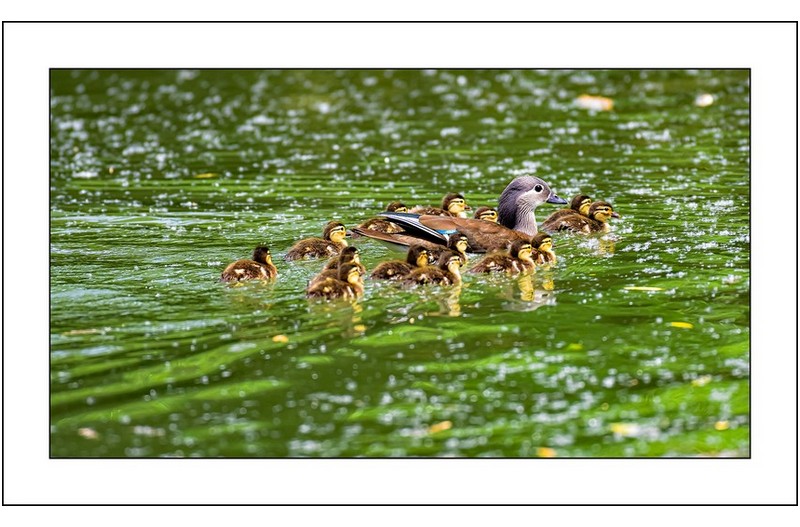   | PHOTO BY : 삿갓/정봉식  |