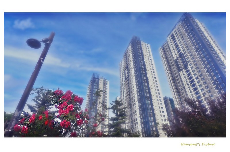 PHOTO BY HAN_JONGSOO  | NIKON Z fc  | 2024:05:22 07:25:29  | ISO-100 | 1/125 sec | f 11 | 15 mm | EV=0 | ● WIDTH:1800 pixels  HEIGHT:1013 pixels