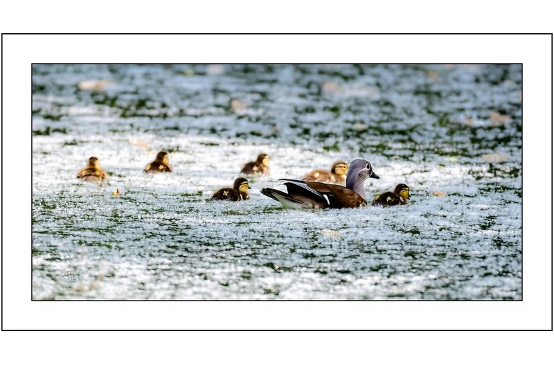   | PHOTO BY : 삿갓/정봉식  |