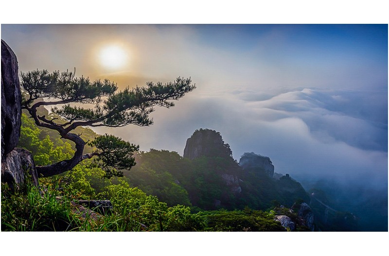 PHOTO BY  | NIKON D810  | 2024:05:21 06:46:06  | ISO-100 | 1/500 sec | f 11 | 17 mm | EV=-1.3 | ● WIDTH:1400 pixels  HEIGHT:752 pixels