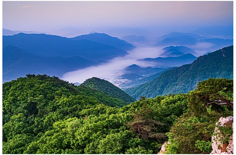 PHOTO BY  | NIKON Z 6_2  | 2024:05:22 05:05:52  | ISO-400 | 4/10 sec | f 9 | 30 mm | EV=-0.3 | ● WIDTH:1500 pixels  HEIGHT:998 pixels