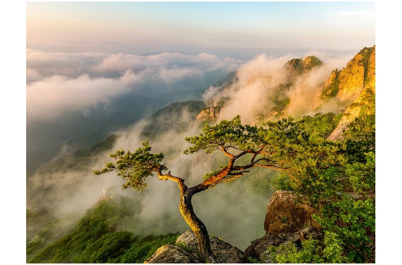 PHOTO BY MINKYUKIM  | Canon EOS 5D Mark III  | 2024:05:21 05:30:00  | ISO-200 | 1/60 sec | f 11 | 24 mm | EV=0 | ● WIDTH:1600 pixels  HEIGHT:1200 pixels