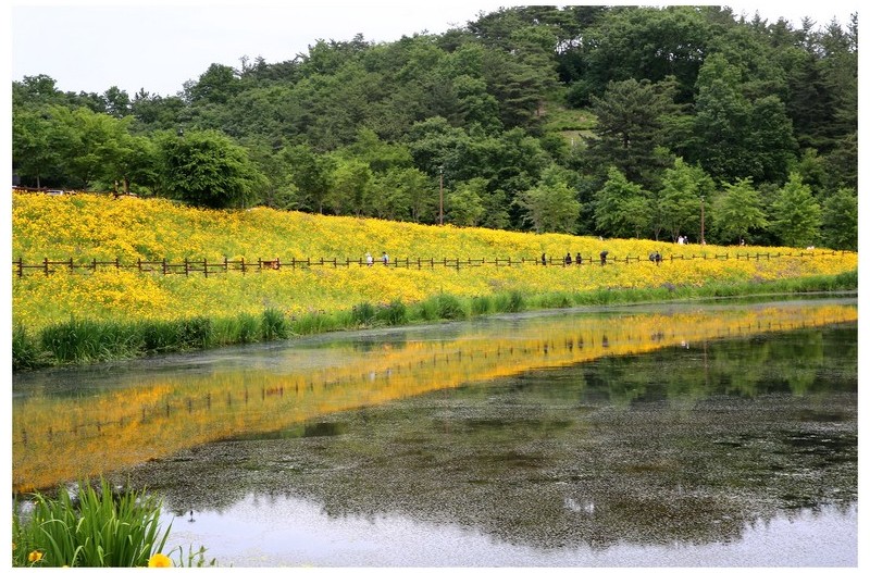   | PHOTO BY : 몰운대/조태열  |