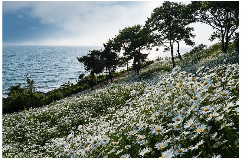 PHOTO BY  | NIKON Z 6_2  | 2024:05:16 17:37:01  | ISO-200 | 1/500 sec | f 11 | 28 mm | EV=-0.3 | ● WIDTH:1500 pixels  HEIGHT:998 pixels