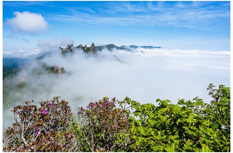 PHOTO BY KIM YONG YEON_  | NIKON Z 7  | 2024:05:21 10:17:43  | ISO-160 | 1/640 sec | f 11 | 24 mm | EV=0 | ● WIDTH:1200 pixels  HEIGHT:800 pixels