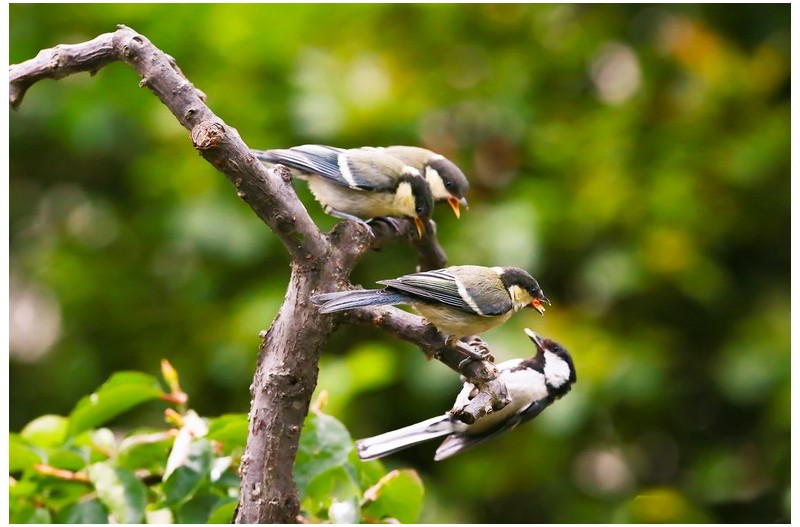 PHOTO BY WO2YA LAB  | Canon EOS-1D X Mark II  | 2024:05:24 16:46:25  | ISO-3200 | 1/8000 sec | f 7.1 | 260 mm | EV=0 | ● WIDTH:1800 pixels  HEIGHT:1200 pixels