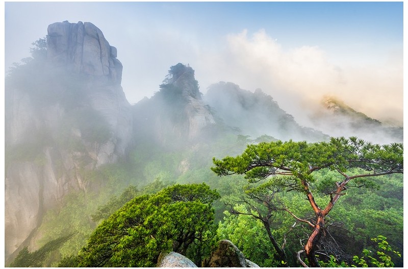 PHOTO BY  | NIKON Z 7_2  | 2024:05:27 06:16:49  | ISO-250 | 1/160 sec | f 9 | 14 mm | EV=0 | ● WIDTH:1200 pixels  HEIGHT:800 pixels