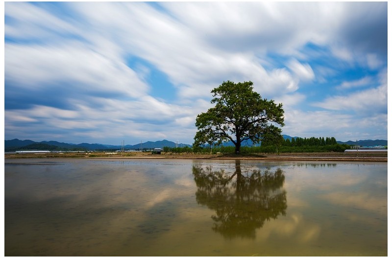 PHOTO BY KWON BYUNG JIN  | NIKON Z 8  | 2024:05:28 12:05:29  | ISO-32 | 120/1 sec | f 18 | 27 mm | EV=0 | ● WIDTH:1500 pixels  HEIGHT:1000 pixels
