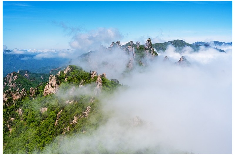 PHOTO BY KIM YONG YEON_  | NIKON Z 7  | 2024:05:21 10:30:43  | ISO-160 | 1/640 sec | f 11 | 36 mm | EV=0 | ● WIDTH:1200 pixels  HEIGHT:800 pixels