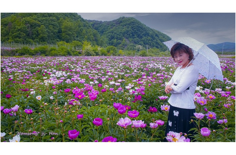   | PHOTO BY : 南松  |