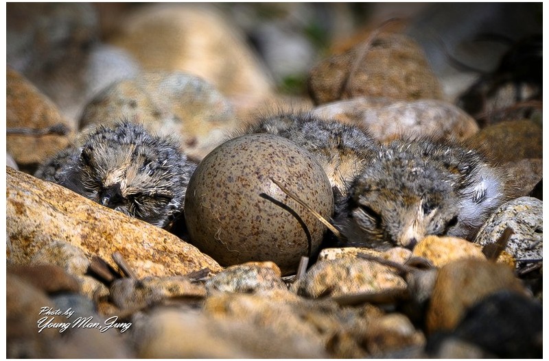   | PHOTO BY : 카파/정영만  |