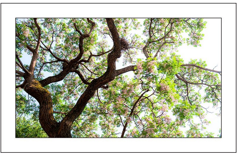   | PHOTO BY : 삿갓/정봉식  |