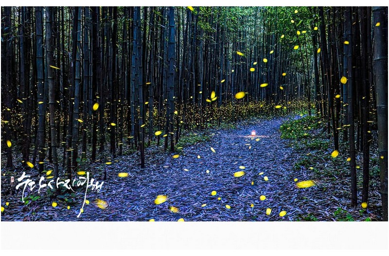   | PHOTO BY : 수당/박상돈  |
