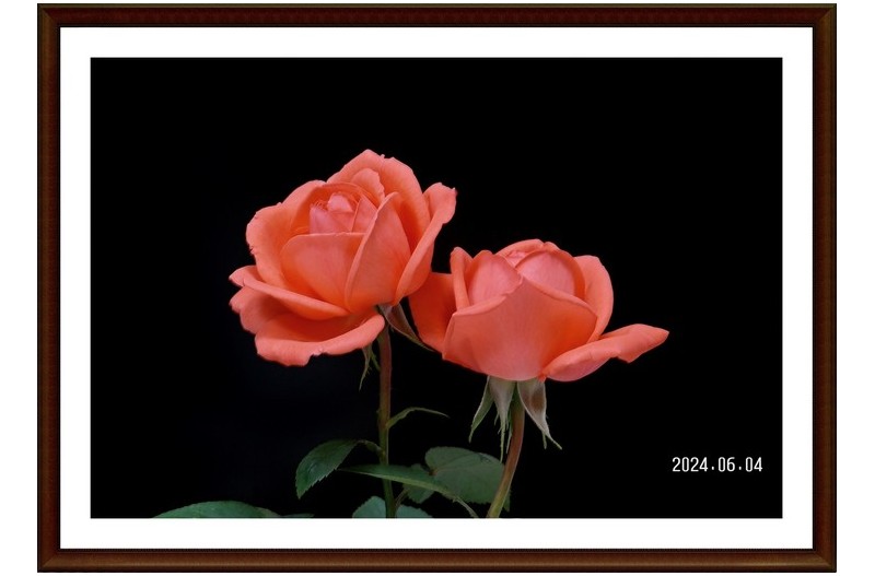 PHOTO BY  | NX10             | 2024:06:04 17:09:24  | ISO-100 | 30/10 sec | f 9.5 | 150 mm | EV=-0.6 | ● WIDTH:4592 pixels  HEIGHT:3056 pixels